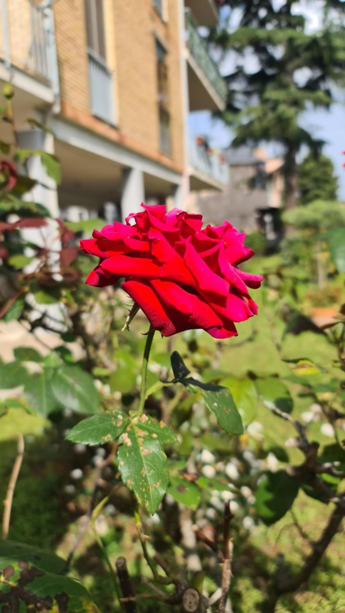 Casa Myrina Apartman Scafati Kültér fotó